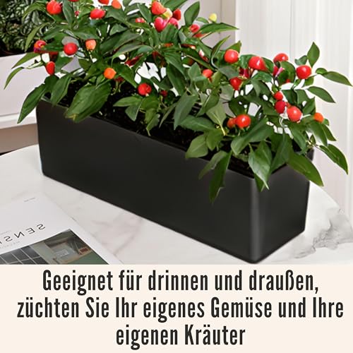 LaLaGreen Planter Box for Indoor Plants (16in, 2 Pack) Window Flower Pots - color: Black