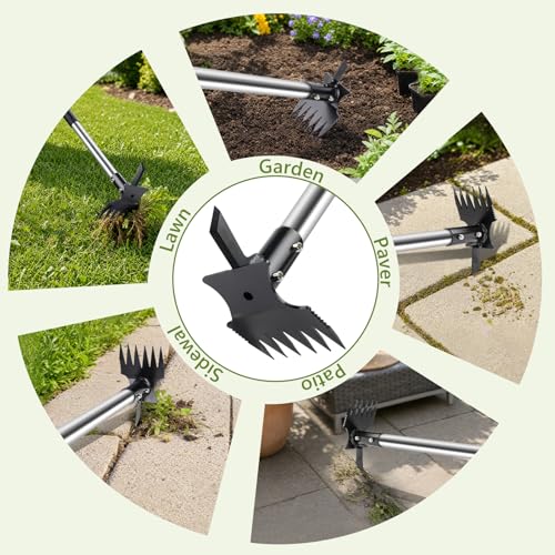 2 in 1 Crack Weeder and Weed Puller with 57" Long Handle for Outdoor Use