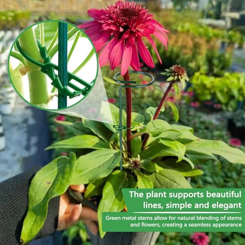 Huakaile 4 Packs Adjustable 23.6" Plant Stakes and Supports with 30 Pieces 9" Twist Ties, Green Plant Holder Stick Outdoor Indoor, Metal Flower Support Stakes Rings for Gardens Vegetables (60 cm) - size: 60 cm