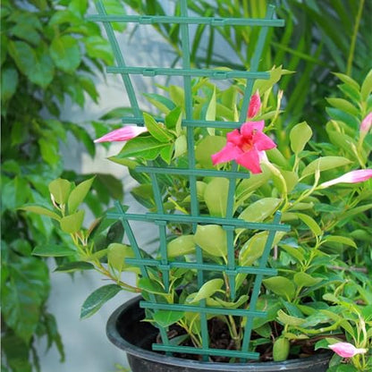 Mini Plant Trellis for Climbing Plants, Plastic Potted Stake