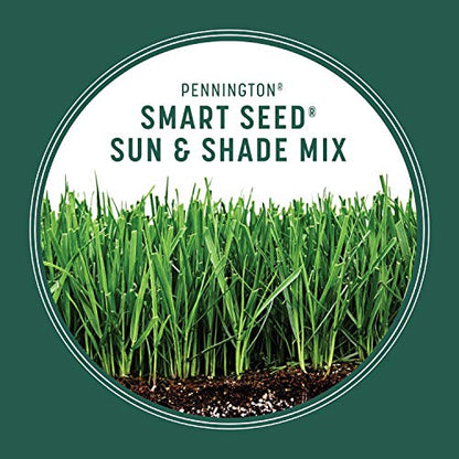Pennington Smart Seed Sun and Shade Mix North Grass Seed, 7 lb - size: 7 lb