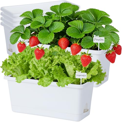 Oliz Window Box Planter 6 Packs, 13.8 Inches Rectangle Flower Pots with Drainage Holes & Trays, Pots for Vegetables, Herbs, Flowers, Garden Windowsill Balcony (White) - color: White