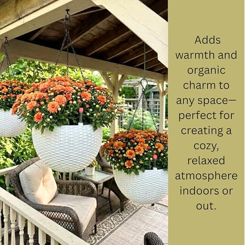 LaLaGreen Hanging Pots for Indoor (11in, 2 Pack) Self-Watering Plant Holder - color: White X 2 Pack