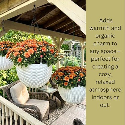 LaLaGreen Hanging Pots for Indoor (11in, 2 Pack) Self-Watering Plant Holder - color: White X 2 Pack