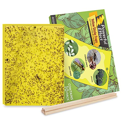 Kensizer 10-Pack Fruit Fly Trap, Yellow Sticky Gnat Trap, 6x8 in - size: 10-Pack