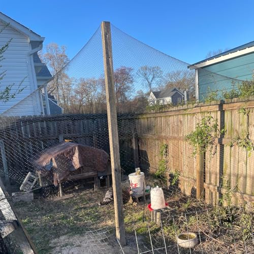 Junflying 50x100 FT Chicken Netting for Hawks & Predator Protection - size: 50x100 FT