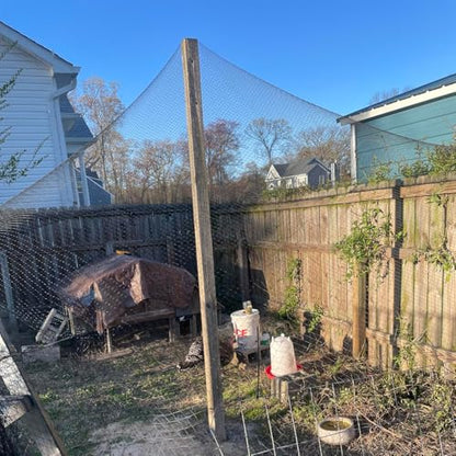 Junflying 15x15 FT Chicken Netting for Hawks & Predator Protection - size: 15x15 FT