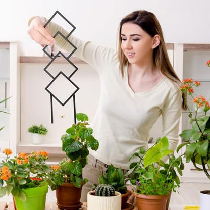4 Pcs Plant Trellis Indoor Black Small Trellis for Potted Plants - style: Style 2