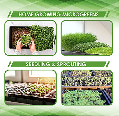 6 Pack Premium Quality Seedling Trays, Microgreens Growing Trays, No Drain Holes, Heavy Duty, Durable Plastic, 1.5mm Thick, Plants Drip Tray, Best for Sprouting Vegetables and Wheatgrass