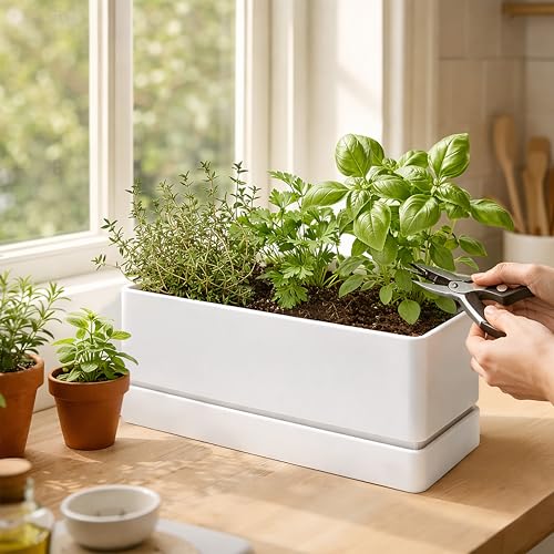 D'vine Dev Rectangular Planter, 12 x 6.5 in, White, 76-P-A-1 - color: White