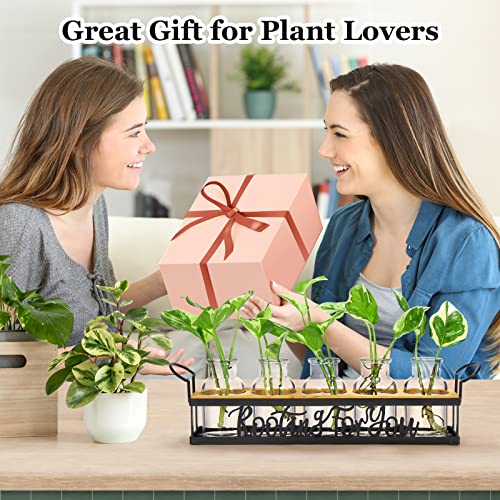 Plant Propagation Station Rooting for You Hydroponic Planter Vase - color: Black – 5 Tray Letter