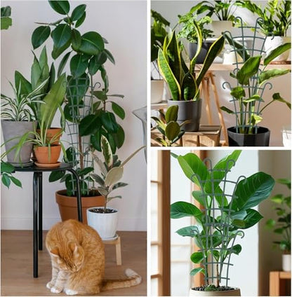 4 Pcs Small Trellis for Potted Plants