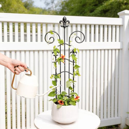 Small Metal Trellis for Potted Plants, 23.6" Sturdy Plant Support - size: 24"H