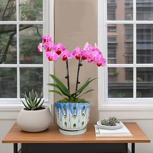 Ceramic Orchid Pot with Drainage Hole 6'' Orchid Planter (Blue Cover White) - color: Blue Over Cream