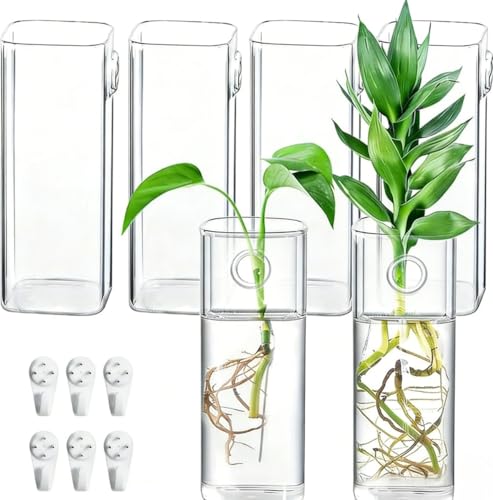 Glass Wall Mounted Planters 6 Pcs Hanging Flower Vase Glass Tubes