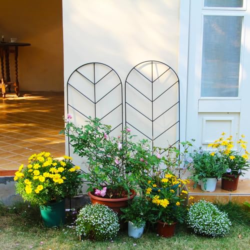 2 Pack Black Metal Garden Trellis 45"H x 15.9"W for Climbing Plants - color: 45 inch-2 pack