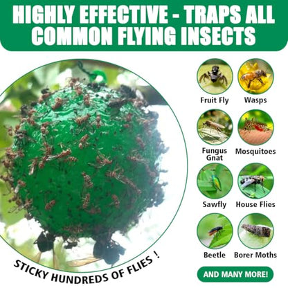 6pcs Sticky Insect Trap Ball Osseph Fruit Fly Trap Balls for Indoor Outdoor - color: Green