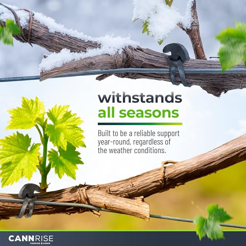 Anchor Bands for Trellising – 70-Pack 8 cm/3.14 in Rubber Vine Ties, UV-Protected Bands: Grapevines, Trees & Climbing Plants – Tool-Free Loop-and-Anchor Design for Install, Weatherproof - size: 70 pack / 3.14"