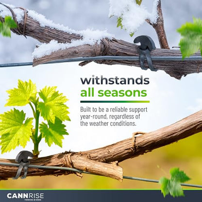 Anchor Bands for Trellising – 70-Pack 8 cm/3.14 in Rubber Vine Ties, UV-Protected Bands: Grapevines, Trees & Climbing Plants – Tool-Free Loop-and-Anchor Design for Install, Weatherproof - size: 70 pack / 3.14"