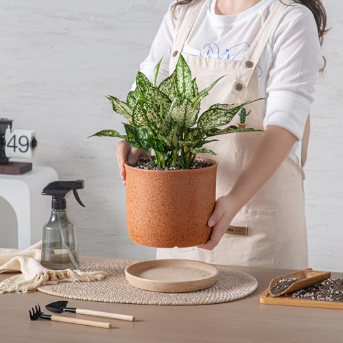 8 Inch Ceramic Plant Pot with Drainage Hole & Separate Saucer - color: Terracotta, size: 8 inch