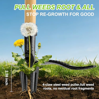 Stand Up Weed Puller Tool, Real Bamboo Long Handle 4-Claw Steel Head Weeder - size: 45-IN