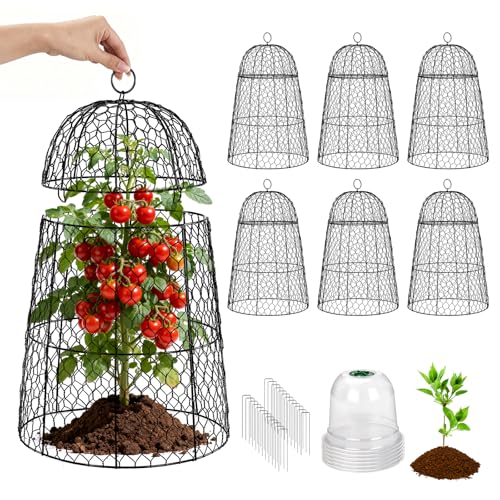 6 Pack XL Metal Garden Cloches for Plants, 17" Tall Chicken Wire Cloches - color: Black - 6 Pack