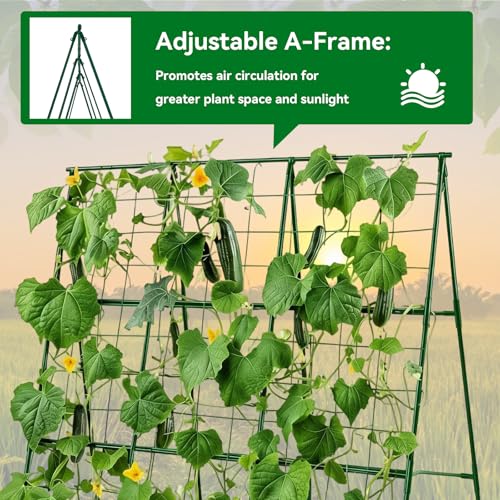 Cucumber Trellis 49.4"*49.4" Metal Garden Trellis for Climbing Plants,Green - size: 50"*32"*50"-G