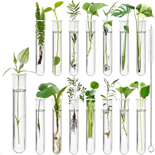 15Pcs Glass Tubes for Plants, Plant Propagation Tube Test Tubes for Scientific Experiments 20 ml Glass Test Tubes for Hydroponic Plants, Home Office Wall Decor (12cm) - size: 4.75x0.9 Inch