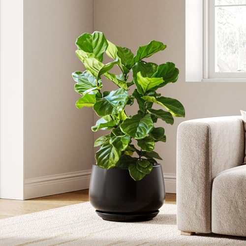 LE TAUCI Ceramic Planter, 12 Inch, Large Plant Pot, Indoor Plant Pot, Black - color: Black, size: 12"