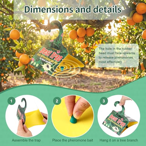 6 Pack Citrus Leafminer Trap & Lure with Pheromone Lures – Triangular Hanging Sticky for All Varieties of Citrus Trees, Includes 6 Traps & 6 Lures, for Orchard & Garden Use - style: for Citrus