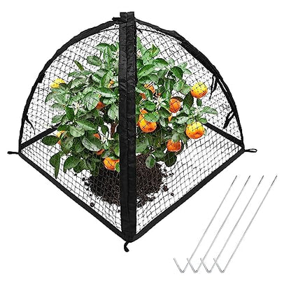 Strawberry Plant Protector,22 x22 x 22 Inch Cloche Dome for Plants