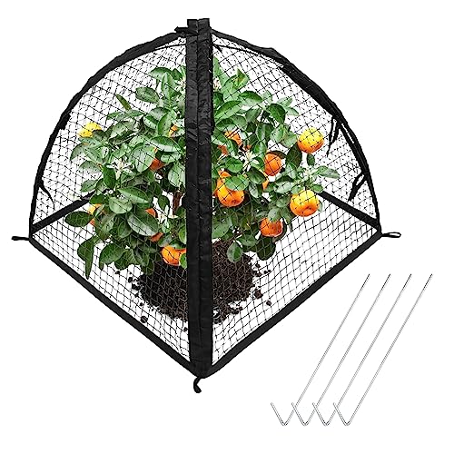 Strawberry Plant Protector,22 x22 x 22 Inch Cloche Dome for Plants