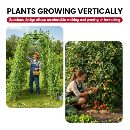 Garden Arch Trellis for Climbing Plants Outdoor, 7 Ft Tall Cucumber Trellis - size: 63"L x 50"W x 84"H - Arch Trellis