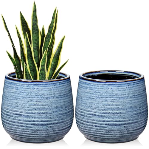 GnFlus Blue Ceramic Plant Pots 5.5 Inch Set of 2, Flower Plants Pot with Drainage Holes Blue Planter Garden Pot for Succulent Cactus Home Decoration Gift Indoor Outdoor - color: Blue#2