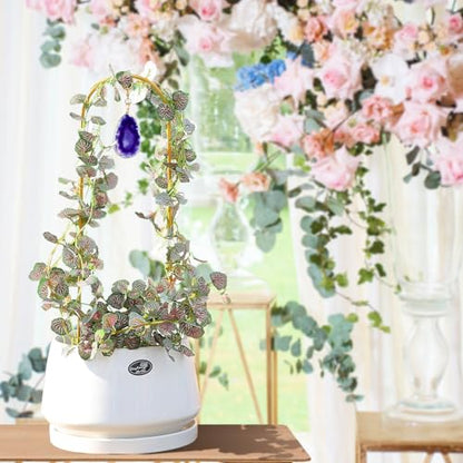 2PCS Small Gold Plant Trellis for Indoor Potted Climbing Plants with Agate - color: 02-Purple Black