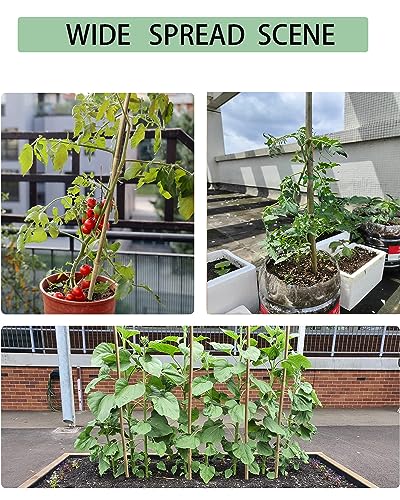 4 Ft Bamboo Stakes with 100 Twist Ties Natural Bamboo Garden Stakes for Tomatoes Cucumber Grapes Pole Beans Trees Potted Dahlia Flowers and Climbing Plants - Pack of 25 - size: 4 FT-25PACK & Ties