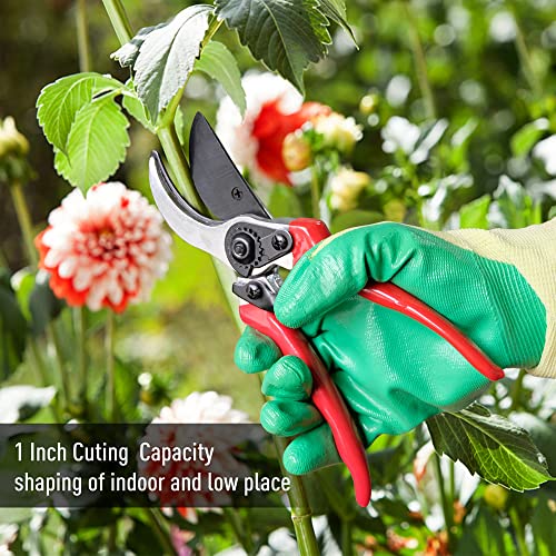 Altdorff Cut and Hold Pruner Set, Lightweight 32-Inch Long Reach Pruner One-Handed Operation, Hold Long Reach Cut Rotating, 8.3" Hand Pruner for Branch Pruning, Fruit Picking, Prickly Plants & Roses