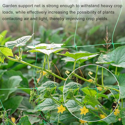 HARFINGTON Trellis Netting for Climbing Plants 3x6ft 18 Strands - color: Green, size: 3ft x 6ft, 18 Strands