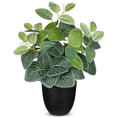 Villa Como 14.5" Artificial Plants Indoor Home Decor Small Faux Nerve Plant - color: #Green Nerve Plant