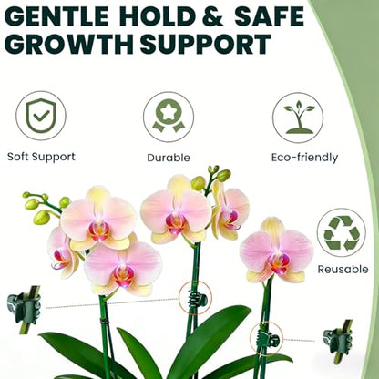 60 Pcs Dual‑Size Orchid Clips, Dark Green Plant Stem Support Clips - size: 60Pcs Mixed Size