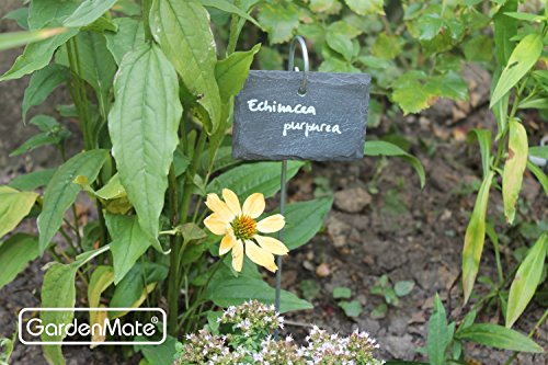 GardenMate 5-Pack Natural Style Slate Plant Labels (4"x 2 3/4") Hanging from a Stainless Steel Metal Rod (17") - size: 5-Pack 4"x 2 3/4" Labels with 17" Metal Rod