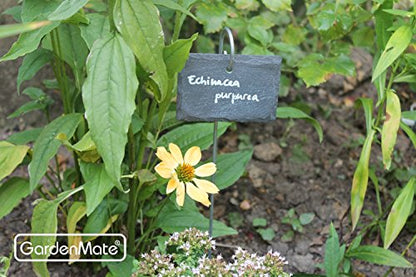 GardenMate 5-Pack Natural Style Slate Plant Labels (4"x 2 3/4") Hanging from a Stainless Steel Metal Rod (17") - size: 5-Pack 4"x 2 3/4" Labels with 17" Metal Rod