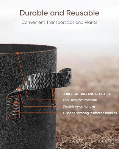 The Growing 5 Pack 3 Gallon Fabric Grow Bags，Thickened Aeration Nonwoven Fabric Plant Pots with Durable Handles,Heavy Duty 300G Planter Pot for Tomato, Fruits, Vegetables and Flowers, Black