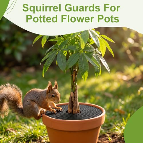 4 Pack 15.7" Cuttable Plant Pot Grids with 16 Stakes, Soil Cover & Cat & Animal Digging Stopper for Indoor Outdoor Garden Plants - size: 4 Pcs 15.7" Round