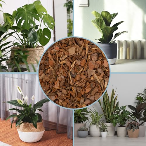 100% Natural Pine Bark Mulch Nuggets (8 Quarts), Small Mulch Chips for Indoor/Outdoor Container Gardening, Ideal for Soil Supplement, Houseplant Mulch - size: 8 Quarts