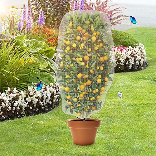 Alpurple 2 PCS Insect Bird Barrier Netting Mesh with Drawstring- 4.6 x 3 Ft Garden Bug Netting Plant Cover- Fruit Tree Net for Protect Plant Fruits Citrus Flower from Insect Bird Eating - color: 2 Pcs, size: 4.6x3 ft