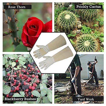 HANDLANDY Bundle - 2 Pairs: Rose Pruning Long Gardening Gloves, Ladies Heavy Duty Yard Work Gloves - Beige, Khaki, Medium