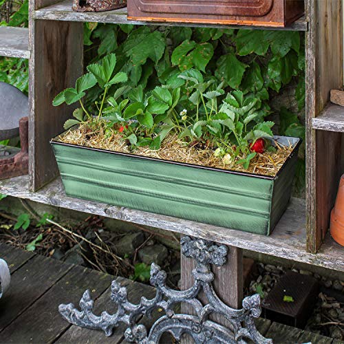 Achla Designs Galvanized Window Flower Box Planter-Green-Small (22" L x 6" W x 5" H) - color: Green, size: Small