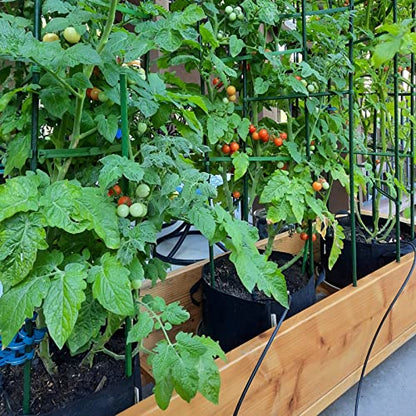 Garden Plant Stakes, 48 Inch 4Ft Steel Tomato Stakes, 25 Pack - size: 48 Inch