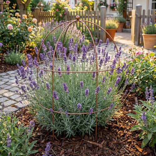 2 Pcs 36 × 28" Bronze Bird Cage Peony Climbing Plant Support Heavy Duty Metal Cage Large Plant Support Outdoor Garden Trellis for Peonies, Baptisia, Sedum & Other Perennials - size: 36 x 28"